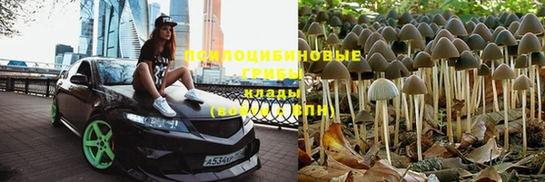 прущая мука Надым