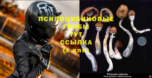 СК Нея